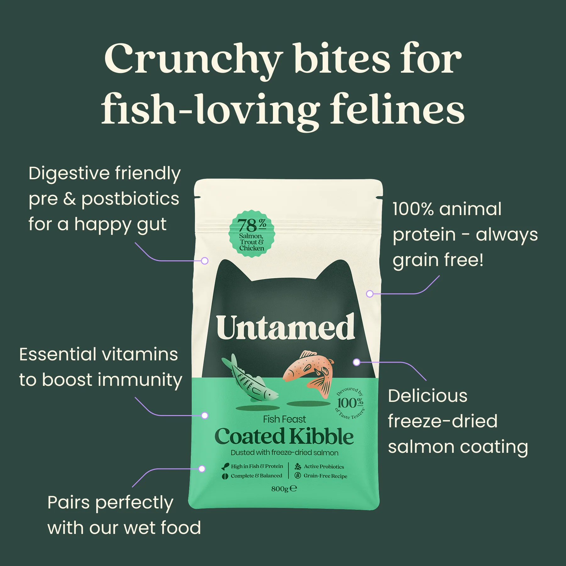 Fish Feast Coated Kibble 800g - Image 4